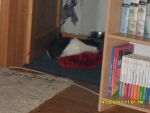 Katerbuben 135 [800x600].jpg