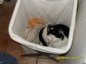 Katerbuben 146 [800x600].jpg