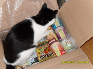 Katerbuben 156 [800x600].jpg