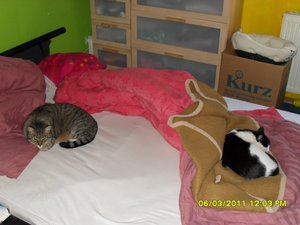 Katerbuben 157 [800x600].jpg