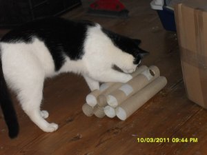 Katerbuben 169 [800x600].jpg