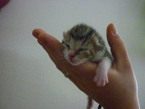 Babys erster Tag 050.jpg