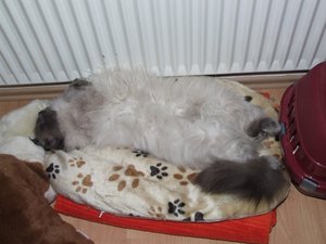 thomas aufmrücken2.jpg