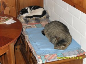 zusammen 002 [800x600].jpg