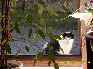 zusammen 004 [800x600].jpg