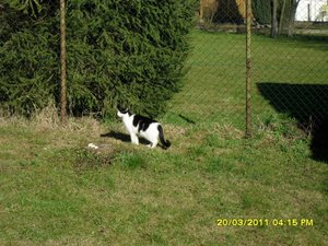 zusammen 005 [800x600].jpg