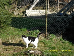 zusammen 006 [800x600].jpg