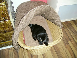 mietzis wurfkiste 007.JPG