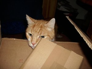 Gismo März 2011 010.jpg