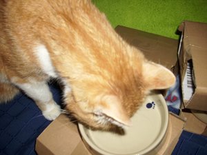 Gismo März 2011 019.jpg