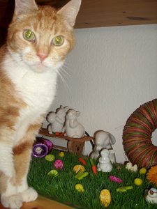 Gismo März 2011 041.jpg
