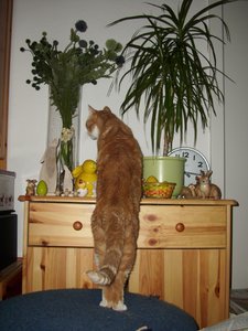 Gismo März 2011 062.jpg