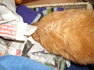 Gismo März 2011 033.jpg