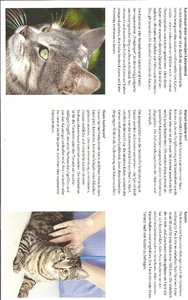 Flyer Stadt Köln 2.jpg