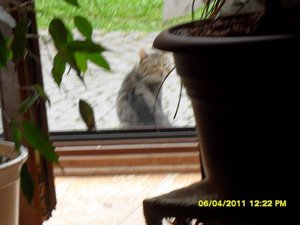 mit Streunerle 009 [800x600].jpg