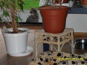 mit Streunerle 3 001 [800x600].jpg