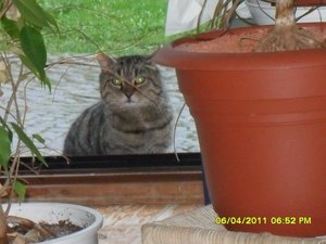 mit Streunerle 3 002 [800x600].jpg