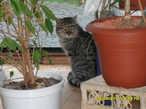 mit Streunerle 3 003 [800x600].jpg