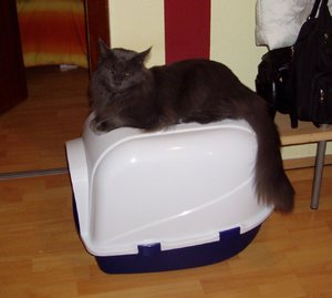 P1010002 - Kopie.JPG