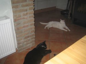 Urlaub April  2011 009.jpg