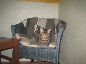 Urlaub April  2011 015.jpg