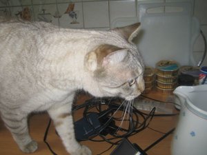 Urlaub April  2011 028.jpg