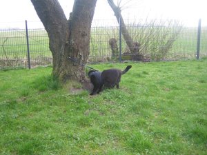 Urlaub April  2011 122.jpg