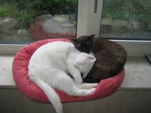 Urlaub April  2011 188.jpg