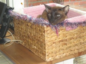 Urlaub April  2011 094.jpg