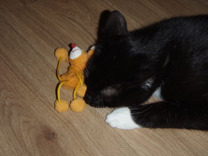 Edersee 2011 169.jpg