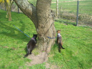 Urlaub April  2011 127.jpg