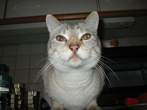 Urlaub April  2011 233.jpg