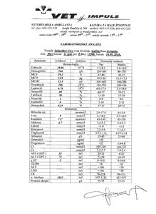 Bilder Pirot 316.jpg