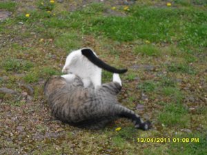 mit Streunerle 4 012 [800x600].jpg