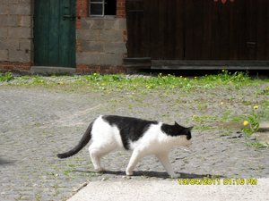 mit Streunerle 4 028 [800x600].jpg