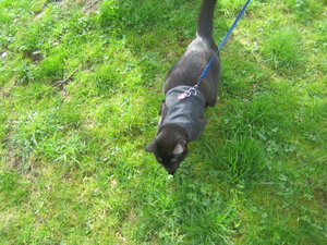 Urlaub April  2011 128.jpg