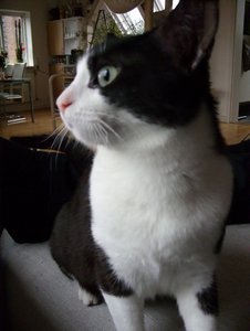 SDC13233.jpg SDC13233.jpg