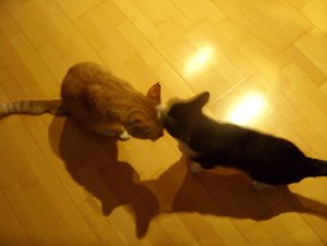 SDC13245.jpg SDC13245.jpg