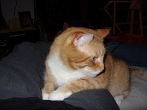 SDC13261.jpg SDC13261.jpg