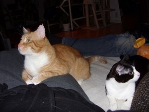 SDC13265.jpg SDC13265.jpg