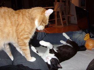 SDC13266.jpg SDC13266.jpg