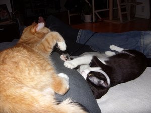 SDC13270.jpg SDC13270.jpg