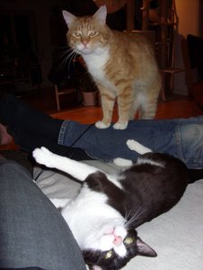 SDC13272.jpg SDC13272.jpg