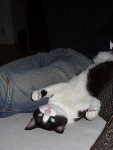 SDC13273.jpg SDC13273.jpg