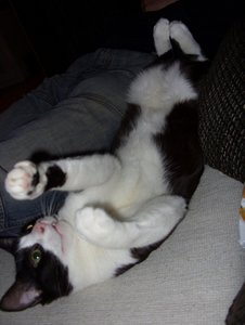 SDC13278.jpg SDC13278.jpg