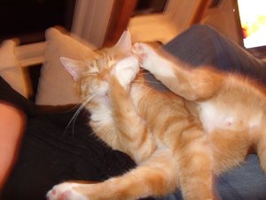 SDC13287.jpg SDC13287.jpg