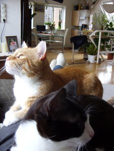 SDC13297.jpg SDC13297.jpg