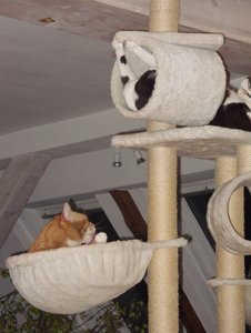 SDC13300.jpg SDC13300.jpg