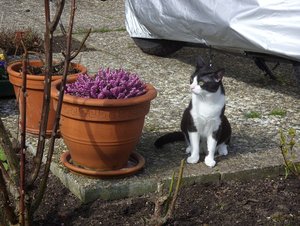 SDC13394.jpg SDC13394.jpg