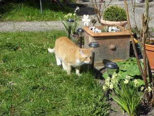 SDC13396.jpg SDC13396.jpg